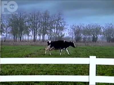 Publicidades eran las de antes 🐄