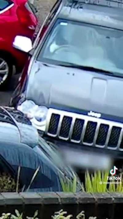 Do Dogs in Cars count?