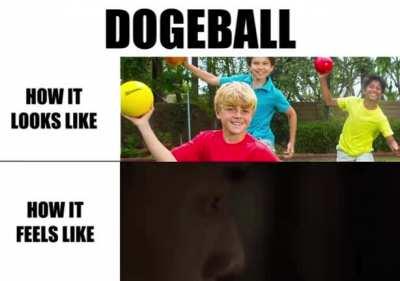 DOGEball like that funny dog haha 😆