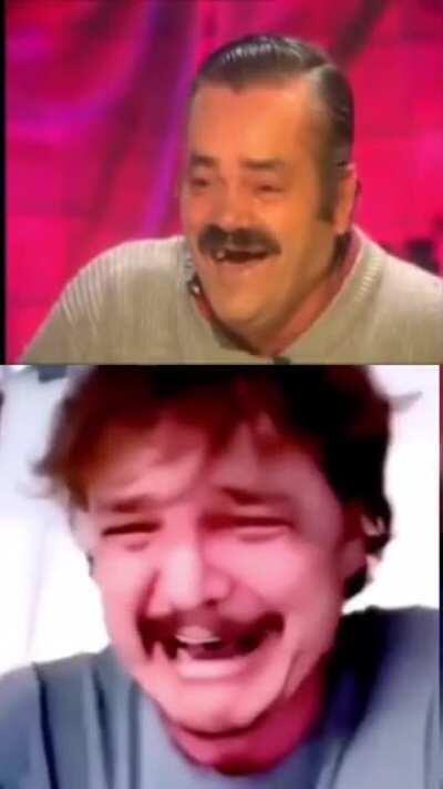 HOY NO HAY MEME 😞