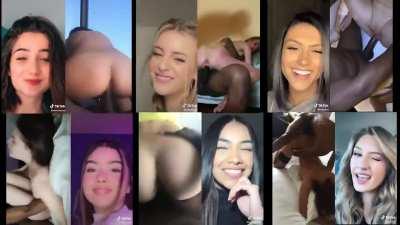 Modern White Girls VS Modern White Boys