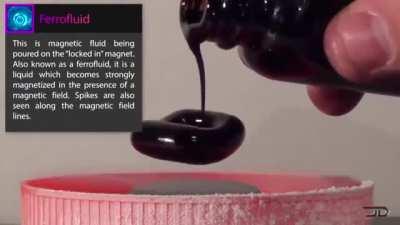 Ferrofluid suspended in a magnetic field