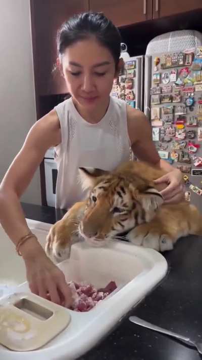 Big orange wants all the meat