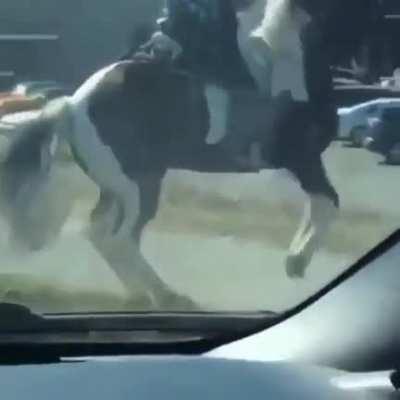 Horse vibin out to some tunage