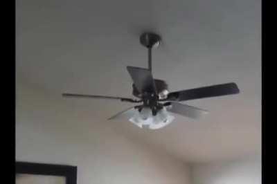 cursed_fan