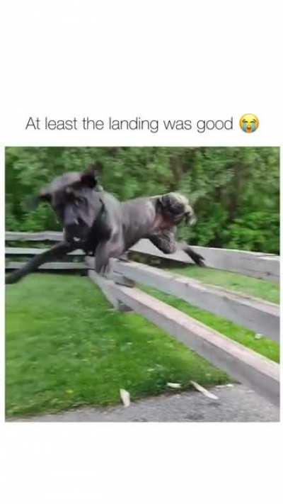 Flying Derp