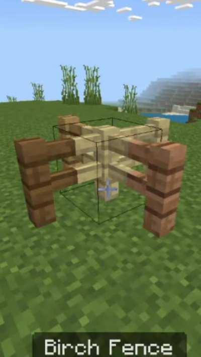 there is no way Mincraft is rac-