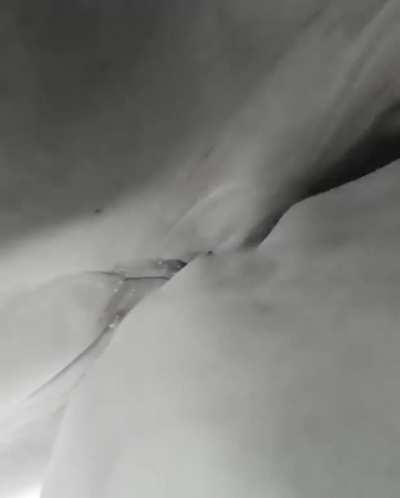 Shark eats diver’s camera and it’s incredible