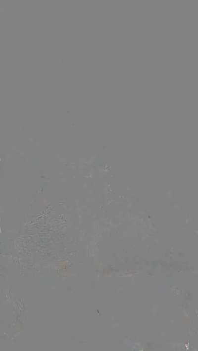 FERNANDA CAMPOS - L1NK N0S COM3NTARIOS