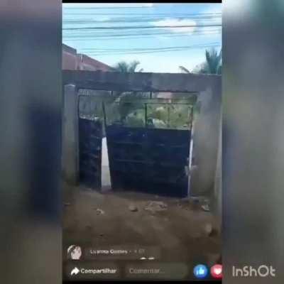 WOODS E OS COBRADORES DE 100 REAIS DA STEAM