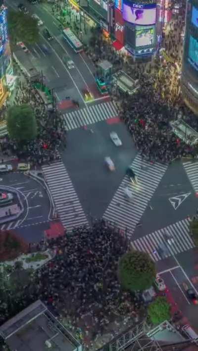 Shibuya Crossing, Tokyo.