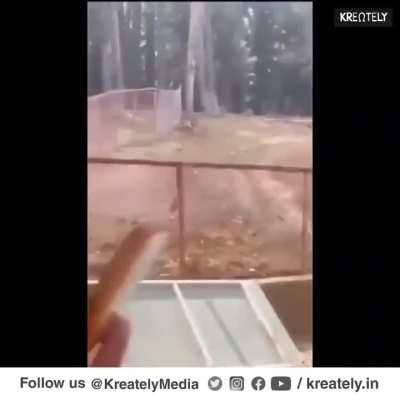 Tourists are shot and killed by terrorists in Kashmir India, a wife begs for help
from locals after her newly wed husband is killed for being Hindu