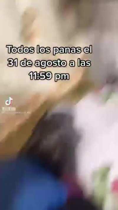 El hombre menos desesperado de vita