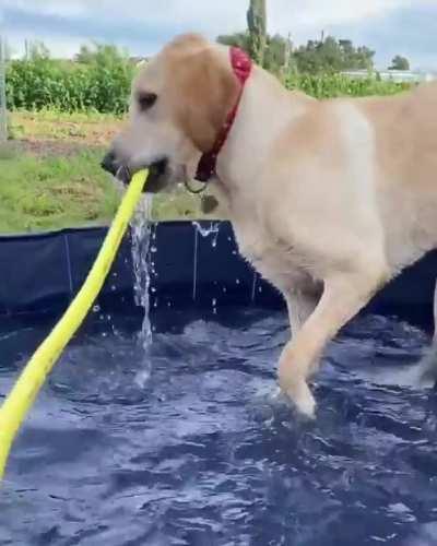 She was having a lovely day playing in the pool until it all went terribly wrong.