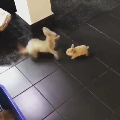 Don’t sneak up on me like that!