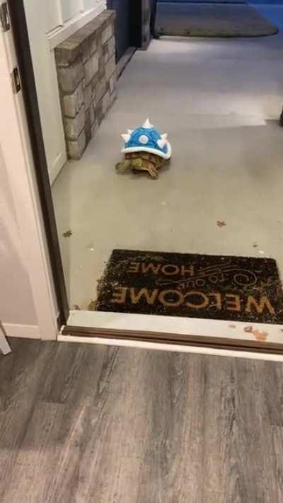 Halloween night we put Esther out to greet the kids trick or treating and let them pet her. She was NOT having it. 🤣. I forgot to post the video.