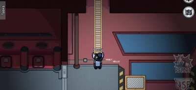 AMONG US NEW MAP TRAILER