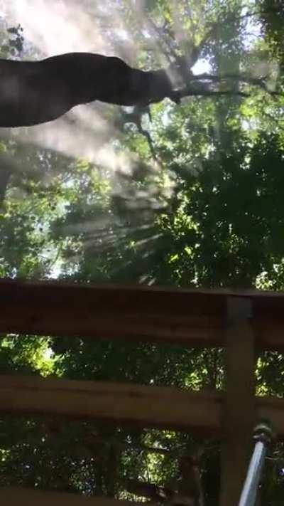 PowerWasher vs Sunlight