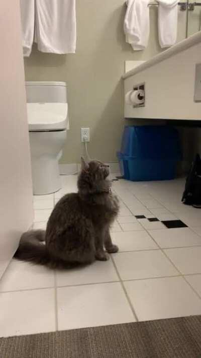 The bathroom counter is pretty high up