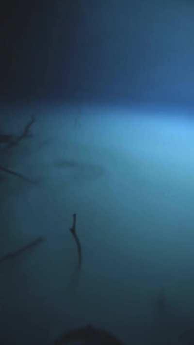 Swimming in this underwater lake 