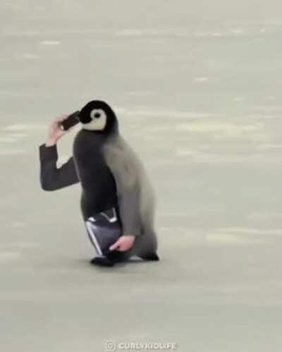 Thanks, I hate birds with arms