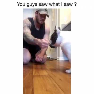 See his reaction 😂