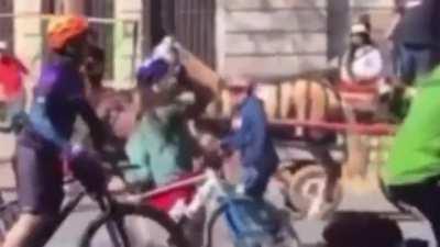 Ciclista manifiesta su desacuerdo con caballo detenido.