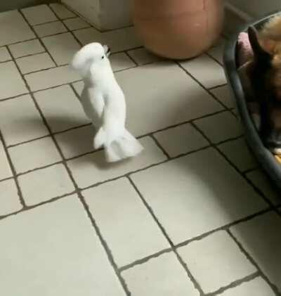 Wanna sleep huh? Nope.