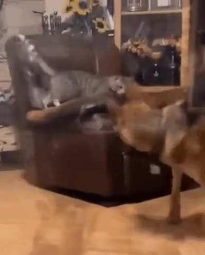 No sharing! Also look at my balls afterwards.