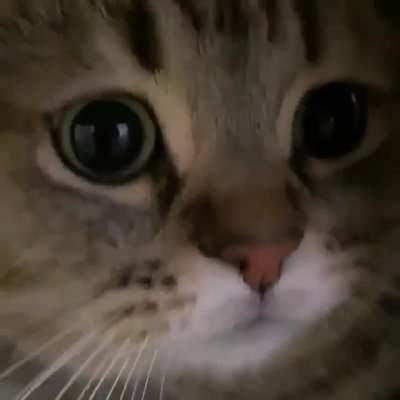 Yaşam hakkı kutsaldır. Onlar konuşamaz, onların sesi de biziz kuramadıkları cümleleri de..