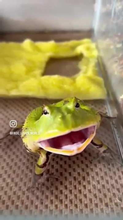 Wunk was given knowledge of everything that will and has happened.