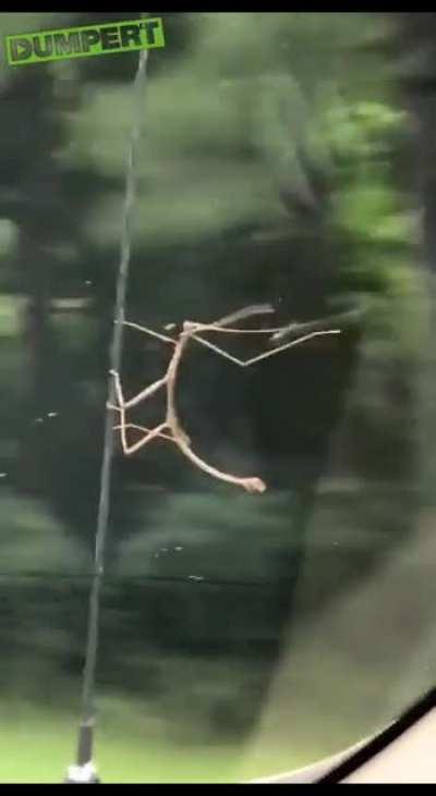 If he can do it, SO CAN YOU!!!! HODL