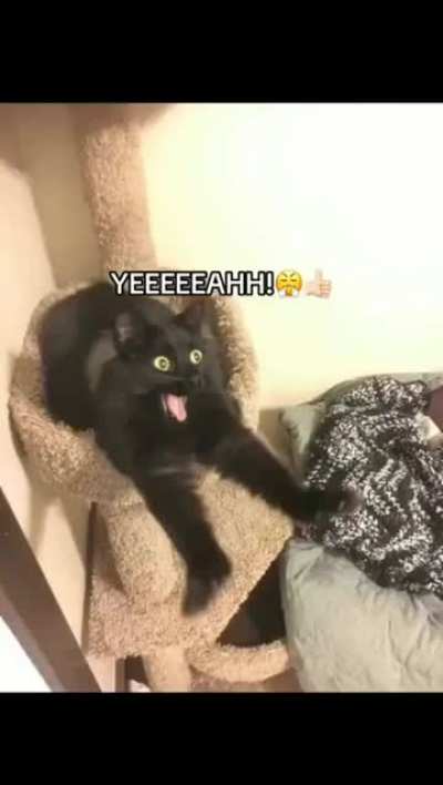 👹SKEDDI NOODUGH👹