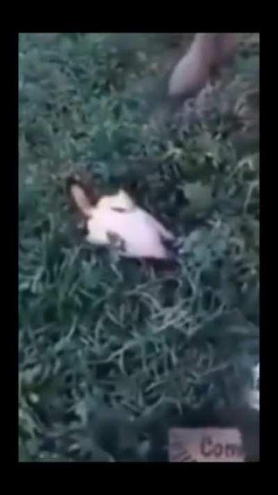 What kind of sorcery is this