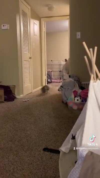 You guys are going to think this is funny. She had energy at 5 in the morning on Tuesday 😂😂😂