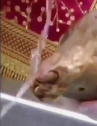 The Secret Ingredient