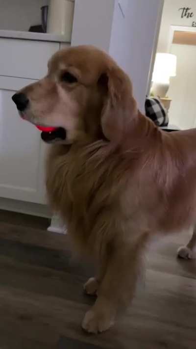 This vibrating thing