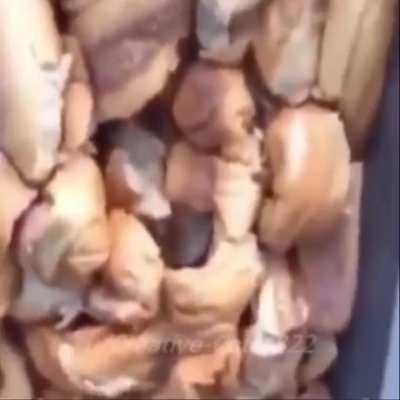 First attempt at a Fujitive inspired video, how did I do?