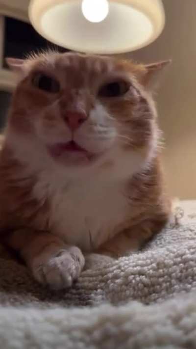 Gather round, kids. Oye wants to tell you why you should vote for her all the time in all elections anywhere in the world. 