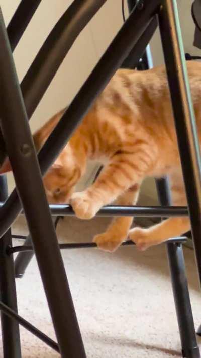 He always chooses the most complicated routes to get his toy