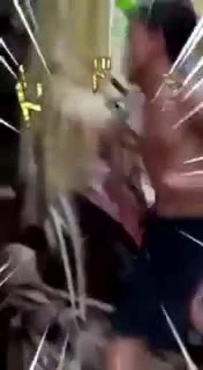 Minecraft 2 confirmado.