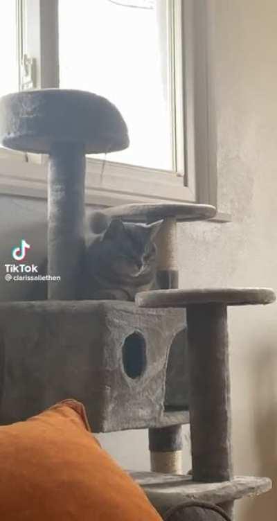 Practising with the speed ball