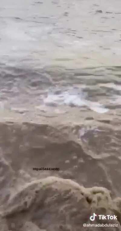 Risking it to find that romantic spot to film