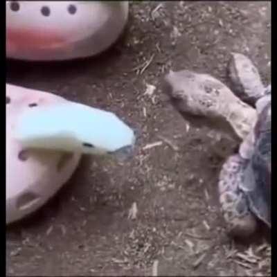 Hey ladies, How you doin?