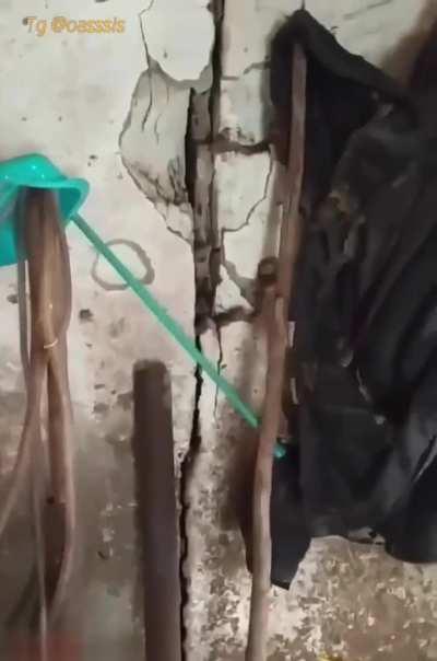 They were just keeping the coat warm