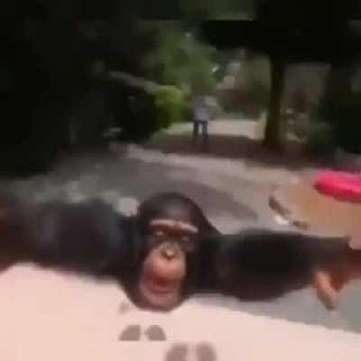 Hope this makes your day