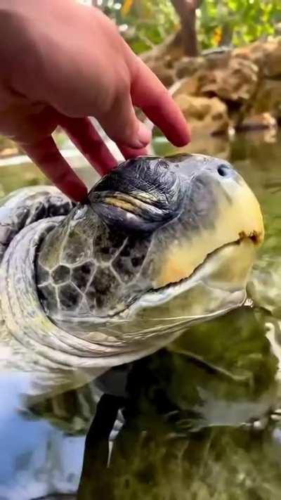 Who knew they would enjoy this that much 🥹