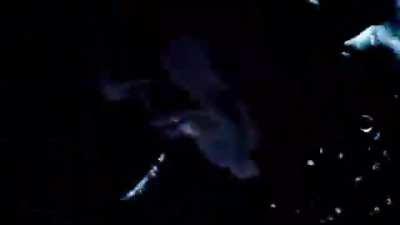 Edel Mett hat viel mehr Reichweite verdient