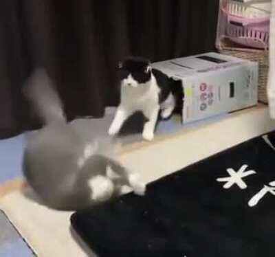 The ol razzle dazzle