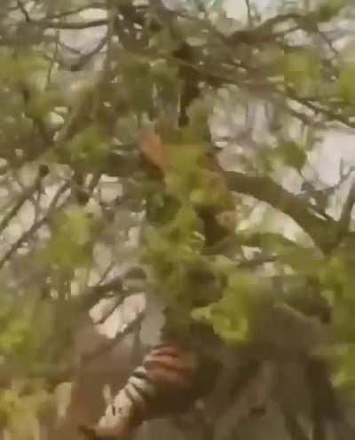 I’ve made a mistake